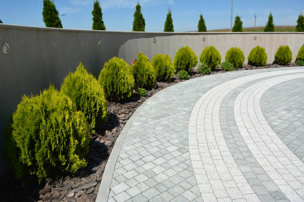 Best Best Driveway Pavers  in Edina, MO